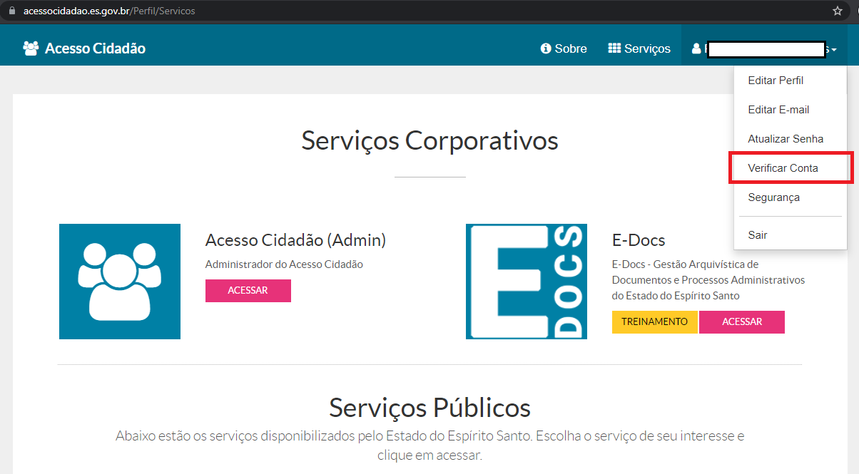 "Menu de verificação de conta"